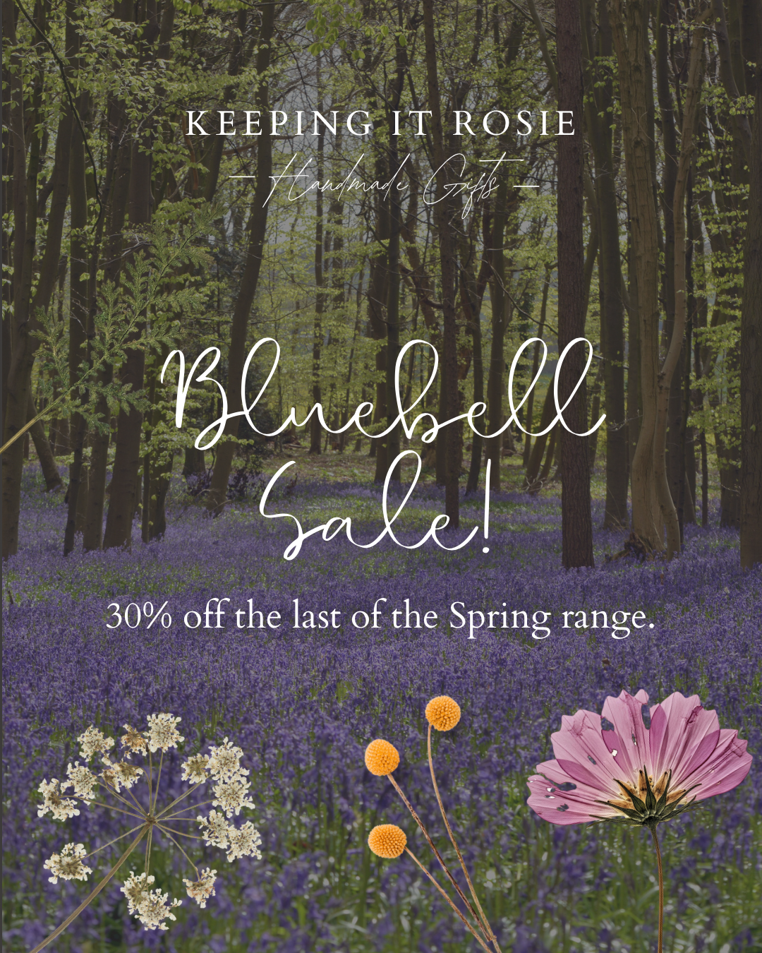 English Bluebell Sale
