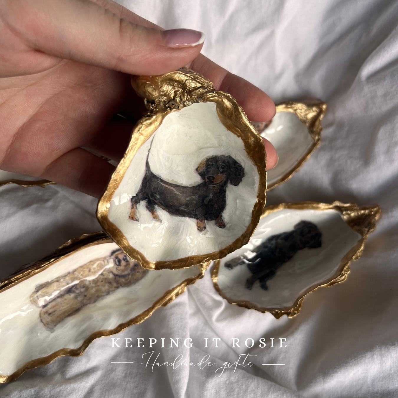 Dog breeds oyster shell trinket trays