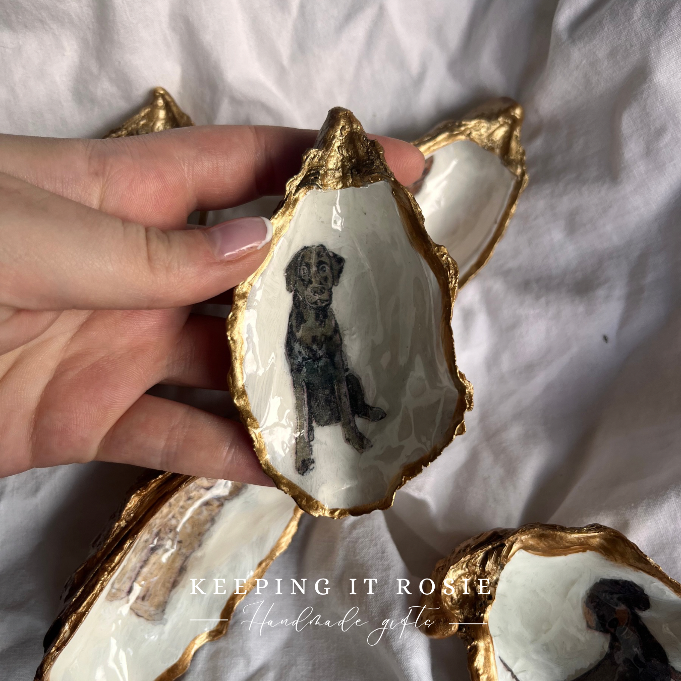 Dog breeds oyster shell trinket trays