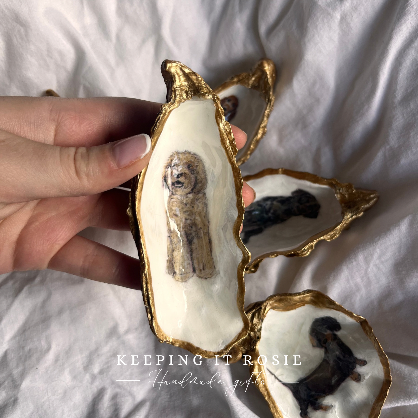 Dog breeds oyster shell trinket trays