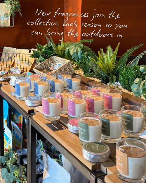 Blackberry & Bay Leaf Candles & Wax Melts