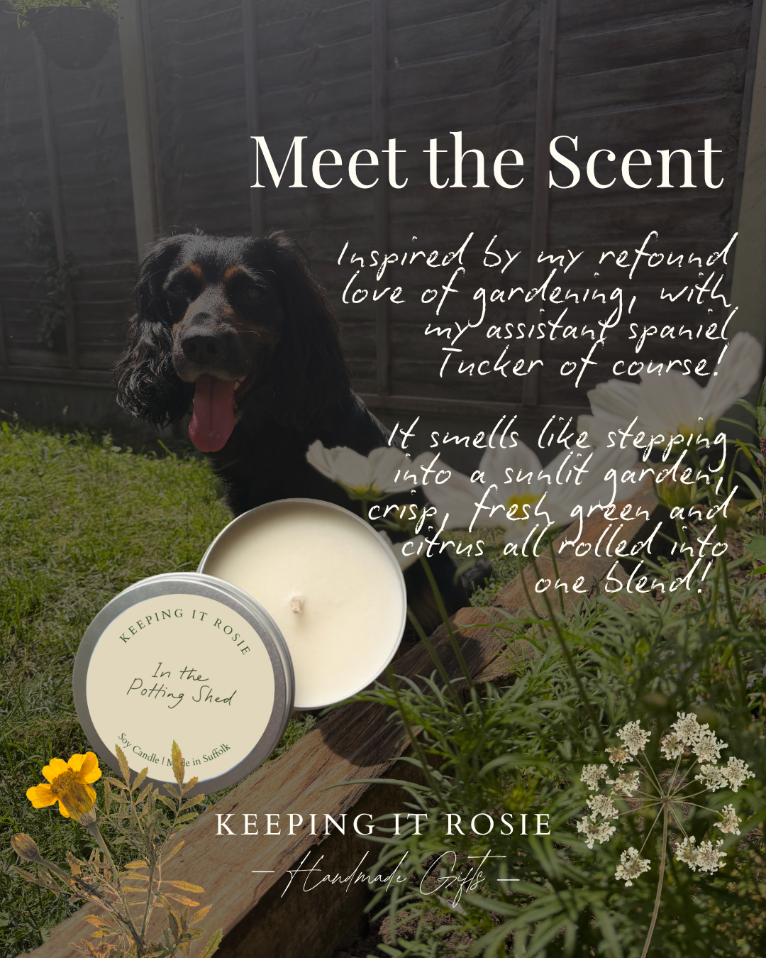 In the Potting Shed | Candles & Artisan Room Mists
