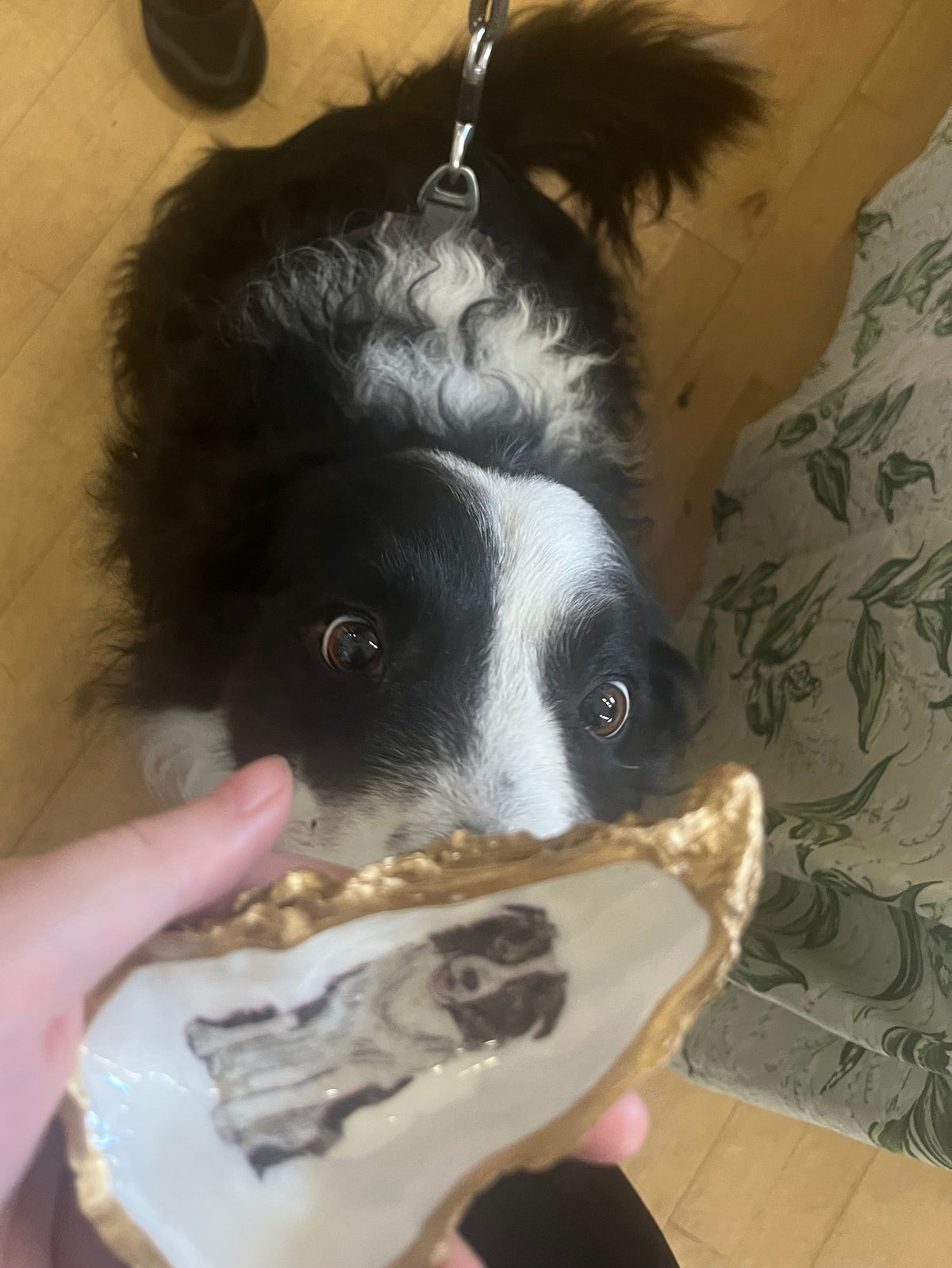 Custom Dog Breed Decorated Shell | trinket trays | Jewellery organisers | personalised | nautical home decor