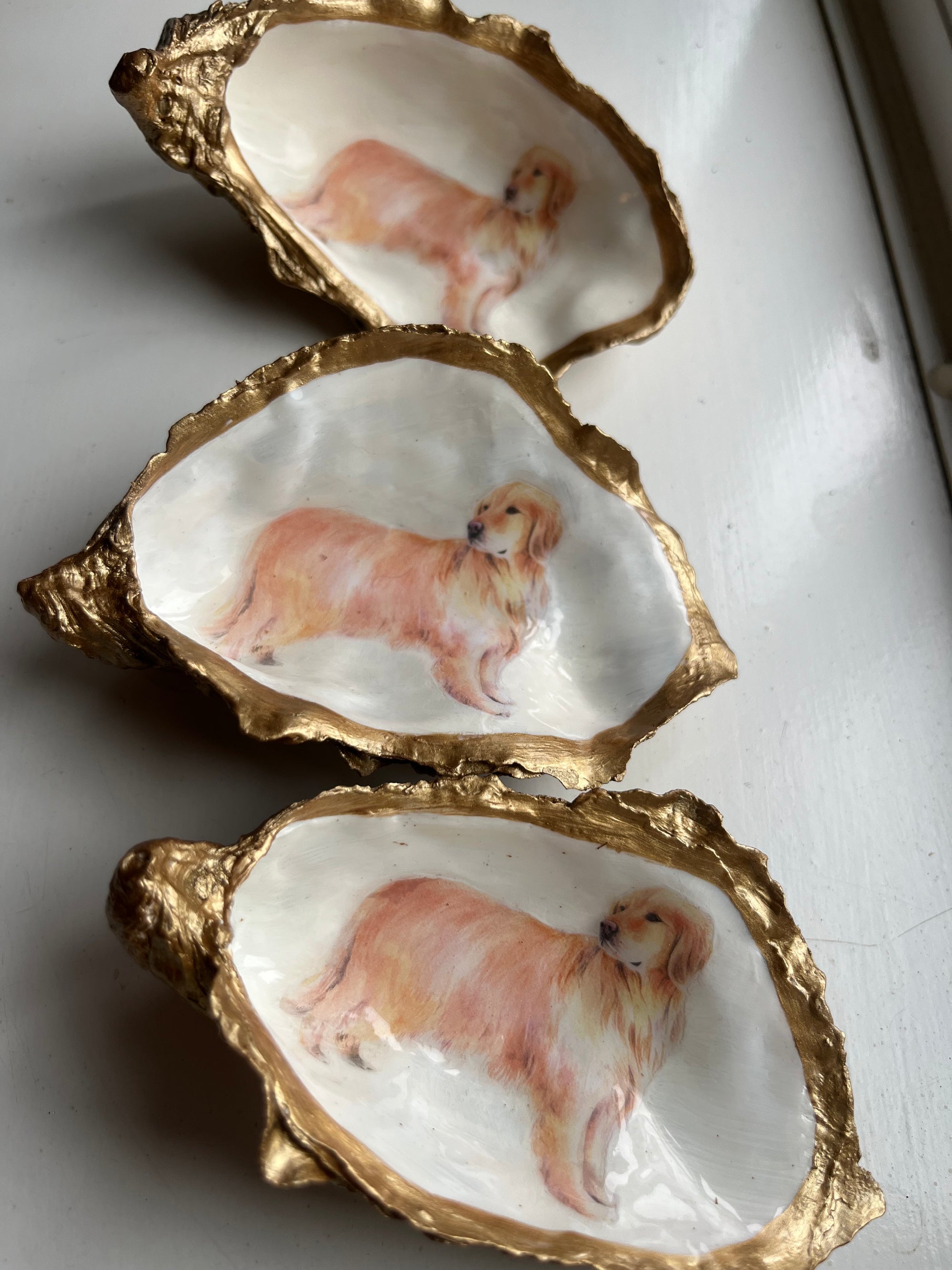 Dog breeds oyster shell trinket trays