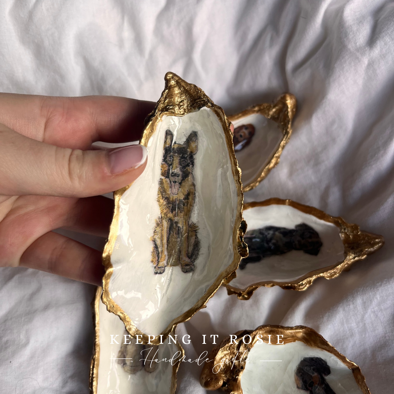 Dog breeds oyster shell trinket trays